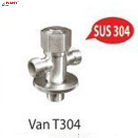 Van T304