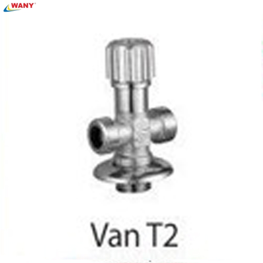 Van T2