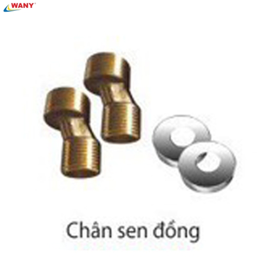 Chân sen đồng