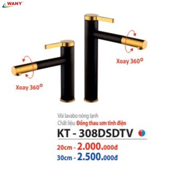 KT 308 DSDTV