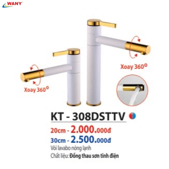 KT 308 DSTTV