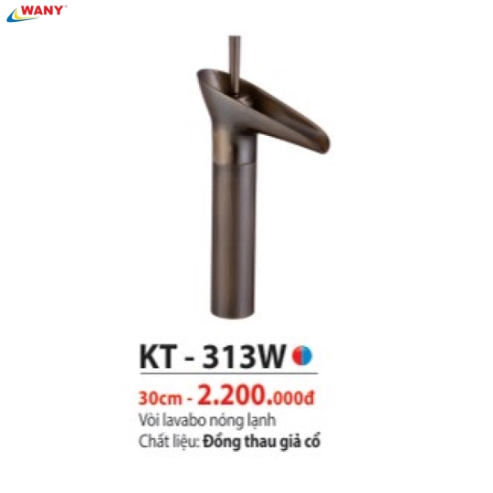 KT 313W