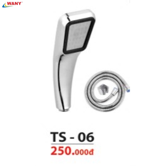 TS 06