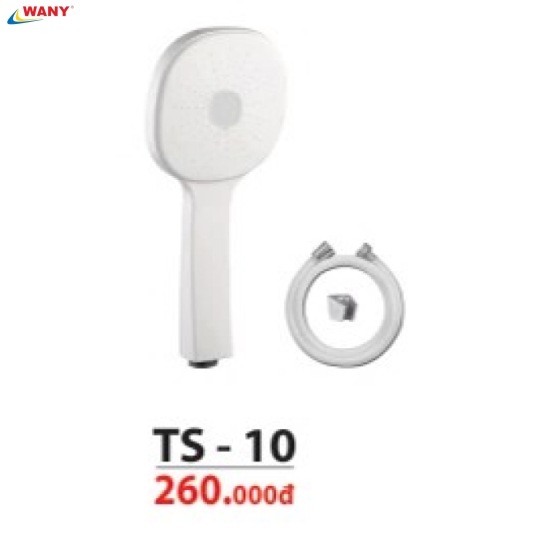 TS 10