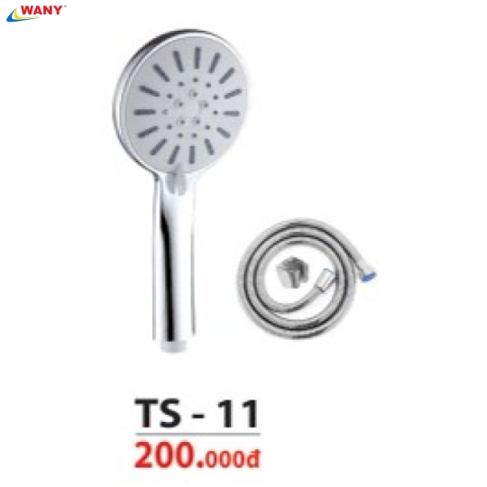 TS 11