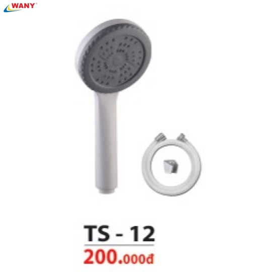 TS 12