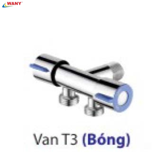 Van T3 Bóng